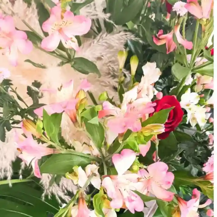 彌彦神社 (伊夜日子神社)の手水舎