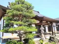 明観寺の本殿