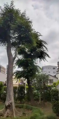 佐竹稲荷神社(東京都)
