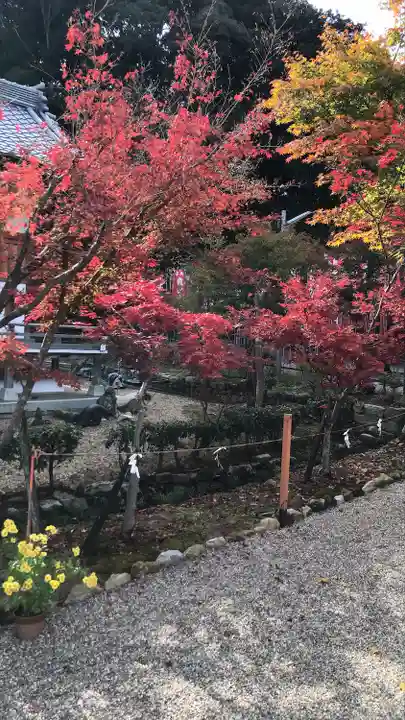 龍田大社(奈良県)