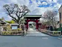妙蓮寺の{uncategorized: "未分類", other: "その他", undefined: "問題あり", building: "その他建物", grave: "お墓", sacred_gate: "鳥居", guardian: "狛犬", statue: "像", buddha: "仏像", history: "歴史", nature: "自然", garden: "庭園", animal: "動物", pagoda: "塔", temizu: "手水舎", mountain_gate: "山門・神門", sanctuary: "本殿・本堂", subordinate: "末社・摂社", art: "芸術", scenery: "景色", jizo: "地蔵", ema: "絵馬", goshuin: "御朱印", omikuji: "おみくじ", items: "授与品その他", amulet: "お守り", goshuincho: "御朱印帳", eats: "食事", festival: "お祭り", votive_dance: "神楽", shichigosan: "七五三参", wedding: "結婚式", experience: "体験その他", initially: "初詣", around: "周辺", anti_infection: "感染症対策"}