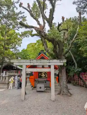 若宮八幡宮(住吉大社 摂社)(大阪府)