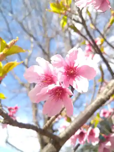 足高神社の自然
