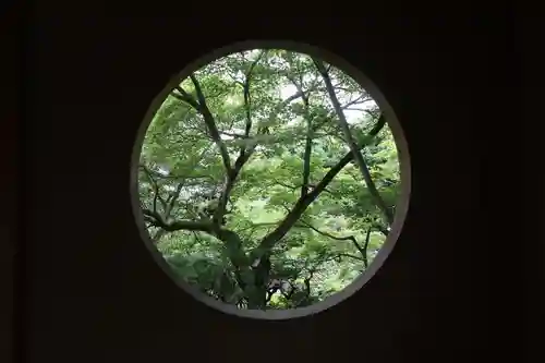 善法律寺(京都府)