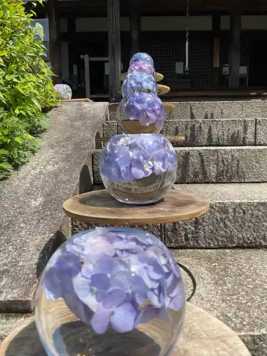 般若寺 ❁コスモス寺❁の芸術