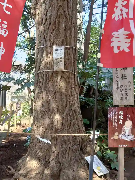 麻賀多神社の自然