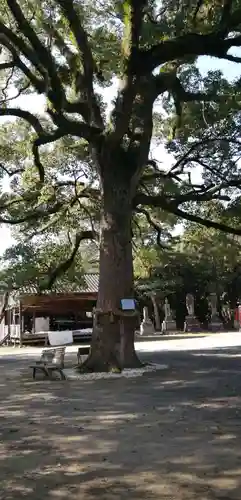 福母八幡宮の自然