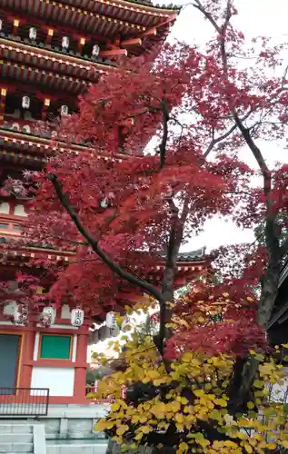 高幡不動尊　金剛寺の自然