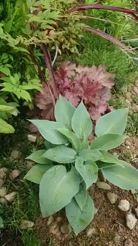 寿量山　速成寺の庭園