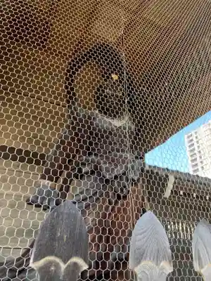 宗保院(東京都)