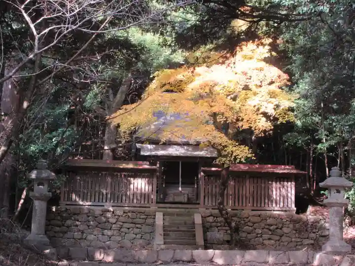 白鬚神社の本殿・本堂