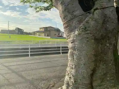 賽の大神(岡山県)