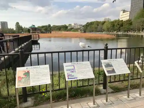 寛永寺不忍池弁天堂の周辺