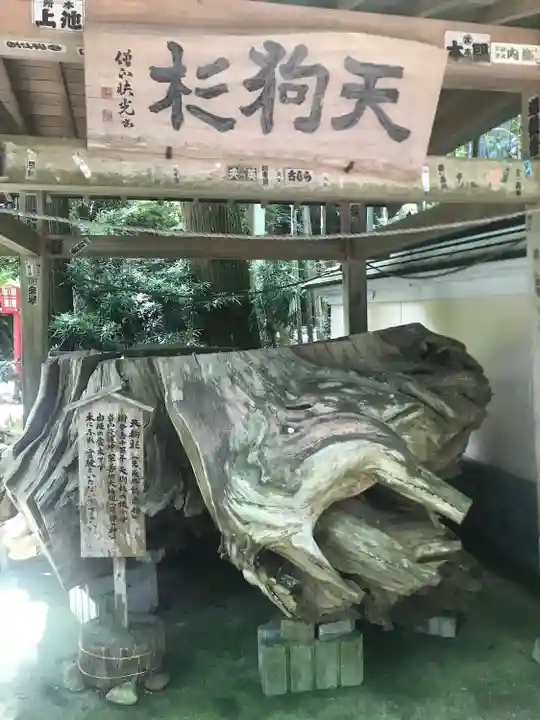 目の霊山 油山寺の自然
