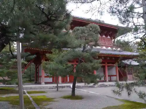 大徳寺の山門