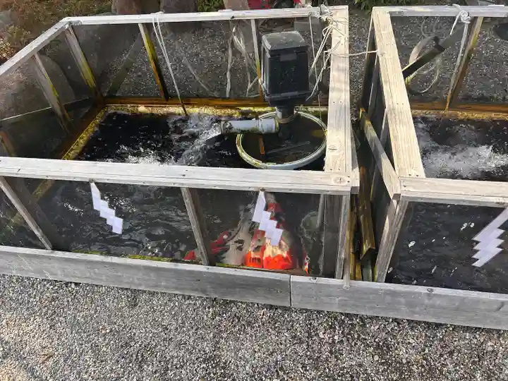 神館飯野高市本多神社(三重県)