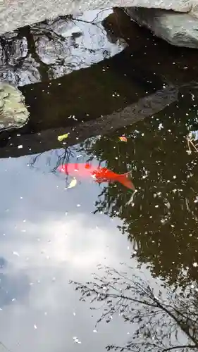 尾張猿田彦神社(愛知県)