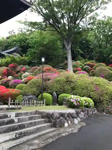 等覚院の庭園