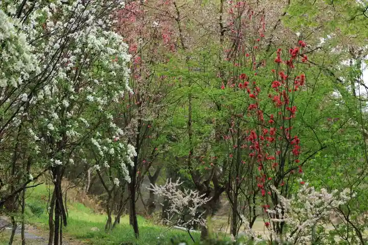 阿久津「田村神社」(郡山市阿久津町)旧社名:伊豆箱根三嶋三社の庭園