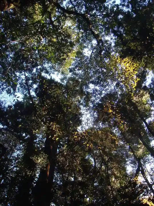 成田山新勝寺の自然