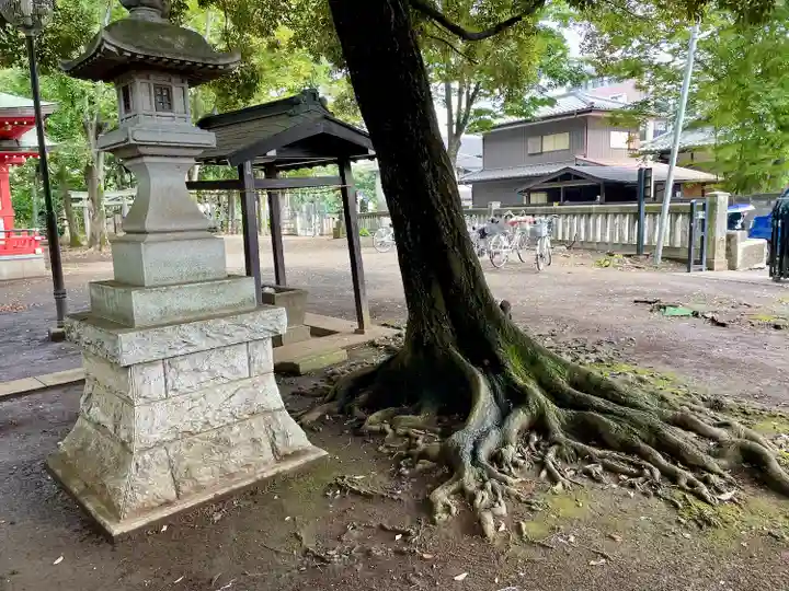 秋津神社(東京都)