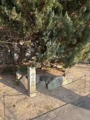 興聖寺(京都府)