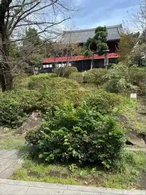 清水観音堂(東京都)