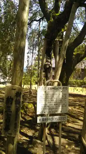 足羽神社の建物その他