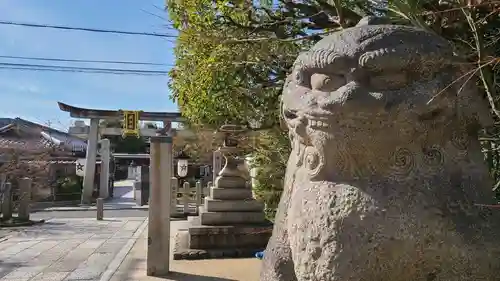 晴明神社の狛犬