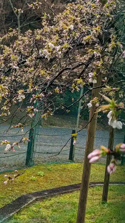 大原野神社(京都府)