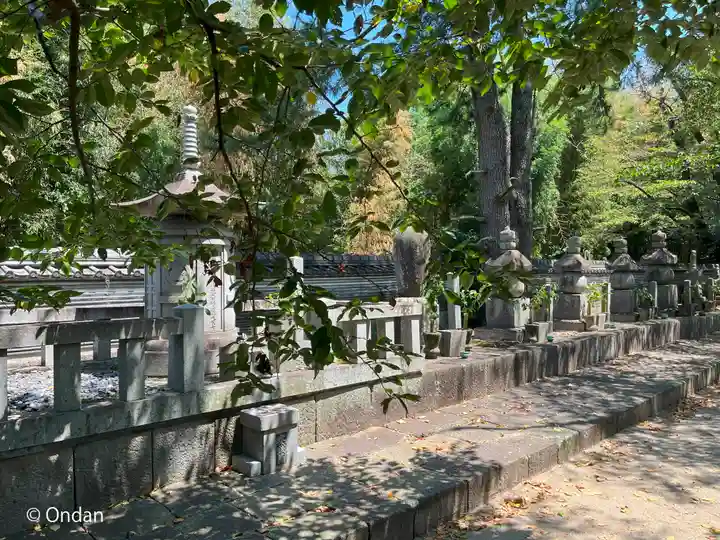 大樹寺(松安院大樹寺)(愛知県)