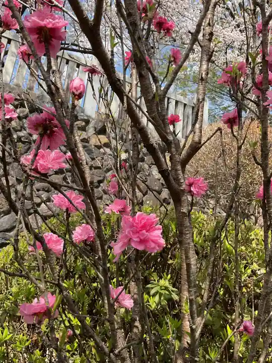 成田山名古屋別院大聖寺(犬山成田山)(愛知県)