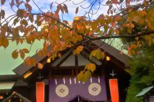 東京大神宮(東京都)