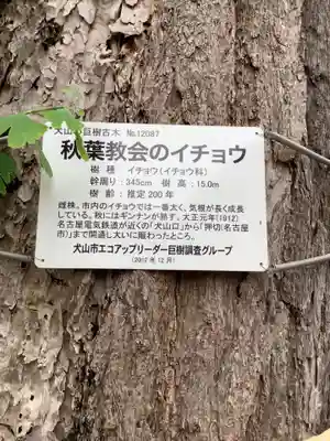 秋葉三尺坊大士 大士堂(秋葉教会)の自然