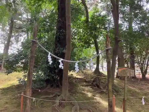 賀茂神社(滋賀県)