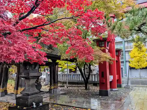 彌彦神社　(伊夜日子神社)の自然