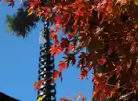 国宝 大法寺(長野県)