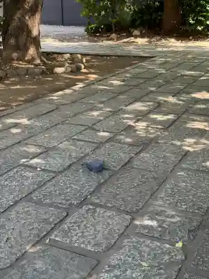 根津神社(東京都)