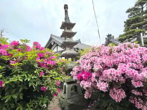 超世院（常楽寺塔頭）の塔