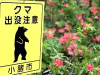 山の神神社(長野県)