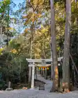 鳥居と参道。杜の中をぬけ、拝殿へ向かいます。