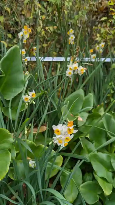 惠心院(京都府)