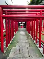 白笹稲荷神社の鳥居