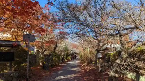 常照寺(京都府)