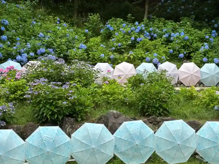 尊永寺(静岡県)