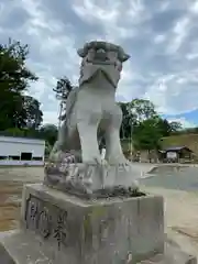 美幌神社の狛犬