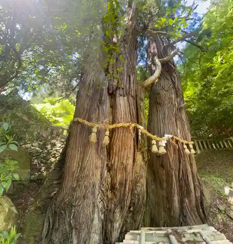 導観稲荷神社(京都府)