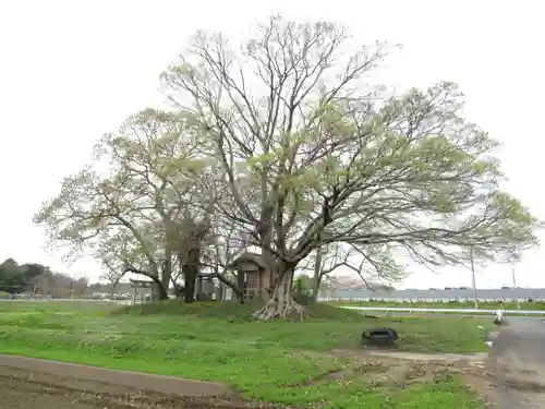 神明神社(千葉県)