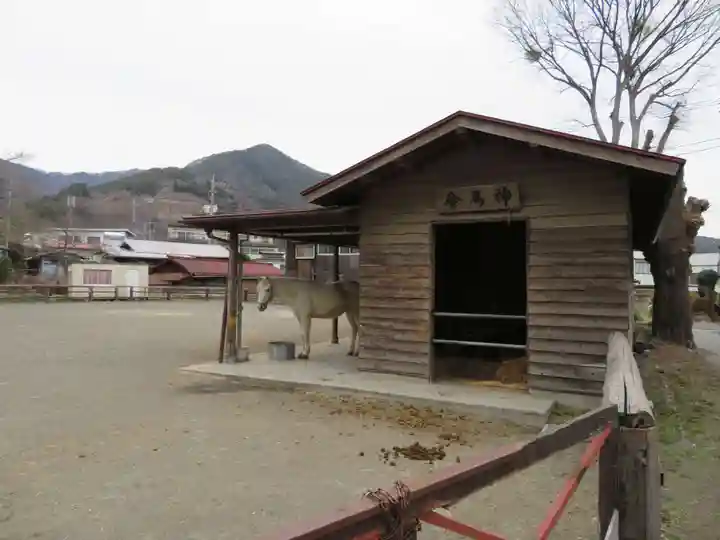 小室浅間神社の動物