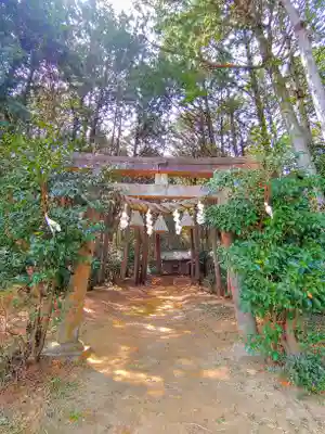 阿口社(赤坂町)の鳥居